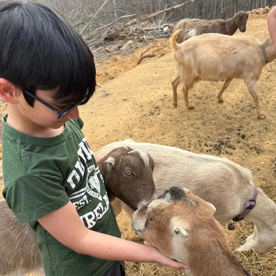 Why We Source Our Ingredients From Georgia Farms