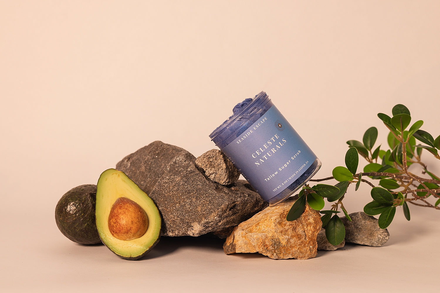 Jar of CELESTE NATURALS SEASIDE ESCAPE Sugar Scrub on rocks with an avocado and plant